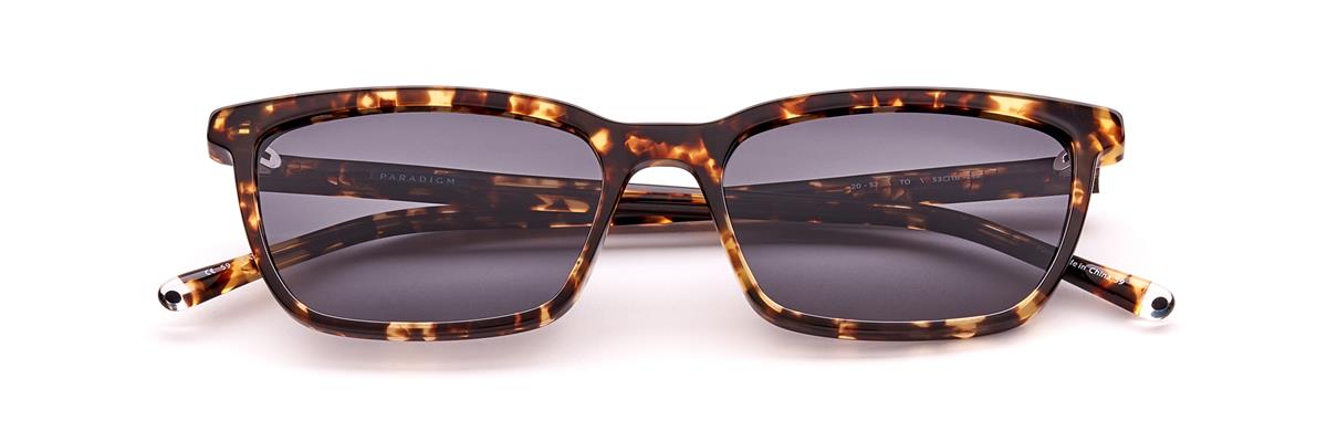 PARADIGM 20-57 TORTOISE(POLARIZED)