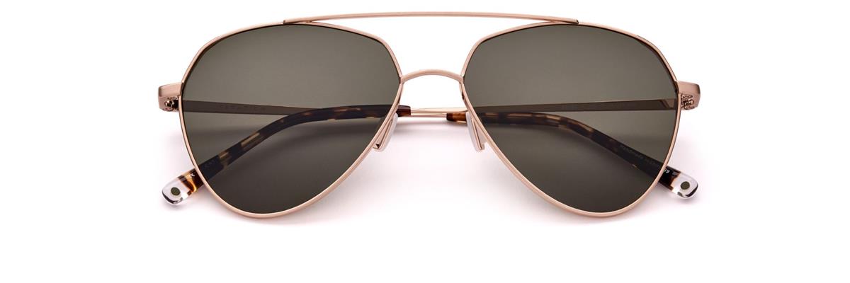 PARADIGM 20-60 GOLD(POLARIZED)