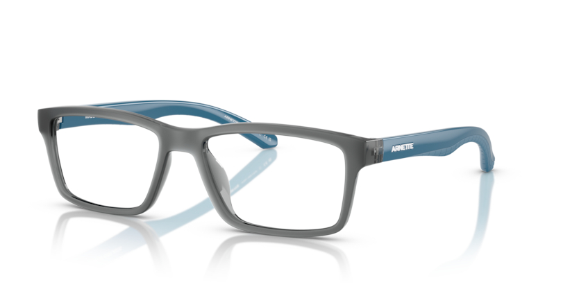  demo lens/transparent grey matte/shiny
