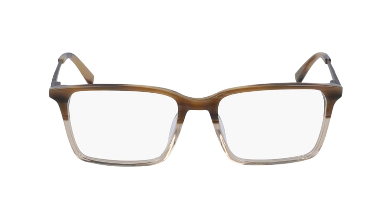  clear lenses/brown horn