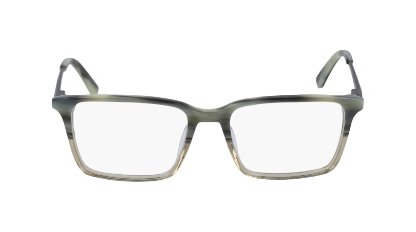  clear lenses/olive horn