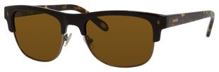  brown polarized/brown