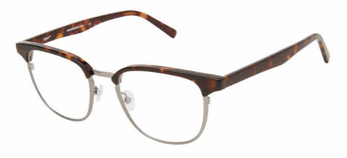 CRUZ BROWARD BLVD TORTOISE