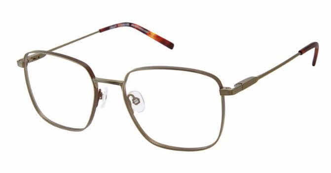 CRUZ I589 ASH