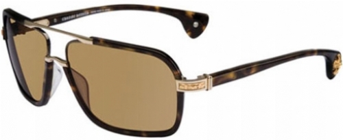  gold plate/dark tortoise